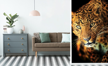 Visualisatie van het product