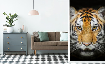 Visualisatie van het product