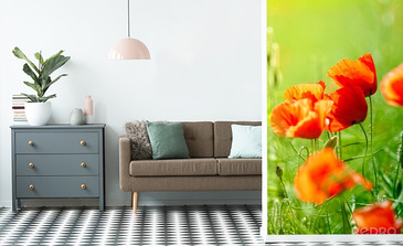 Visualisatie van het product