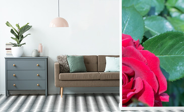 Visualisatie van het product