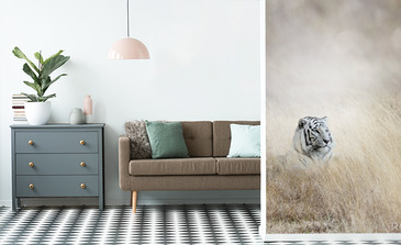 Visualisatie van het product