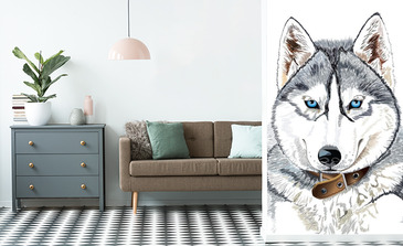 Visualisatie van het product