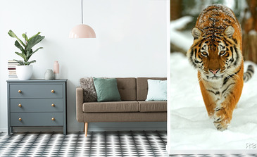 Visualisatie van het product