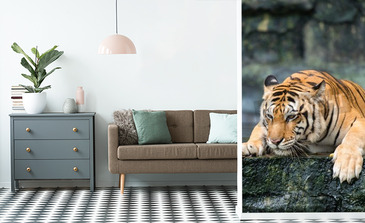 Visualisatie van het product