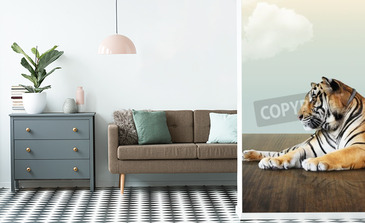 Visualisatie van het product