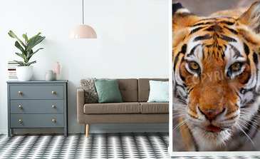 Visualisatie van het product