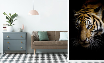 Visualisatie van het product