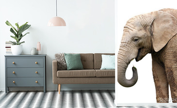 Visualisatie van het product