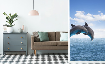 Visualisatie van het product