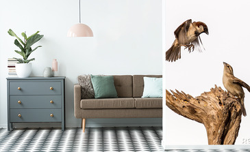 Visualisatie van het product