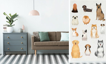 Visualisatie van het product