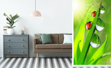 Visualisatie van het product