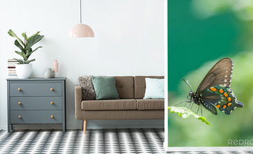 Visualisatie van het product