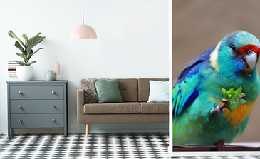 Visualisatie van het product