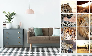 Visualisatie van het product