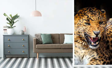 Visualisatie van het product