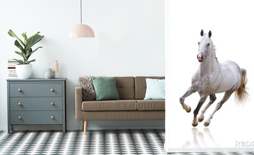 Visualisatie van het product