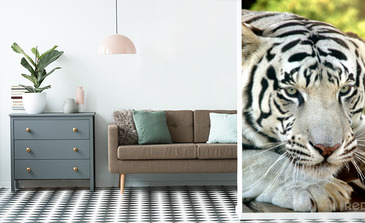 Visualisatie van het product