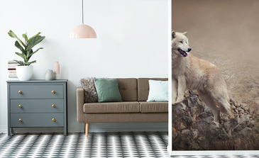 Visualisatie van het product