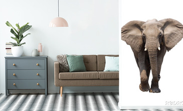 Visualisatie van het product