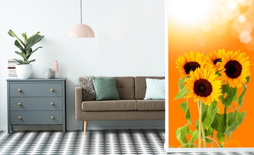 Visualisatie van het product