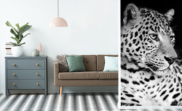 Visualisatie van het product