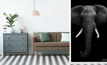 Visualisatie van het product