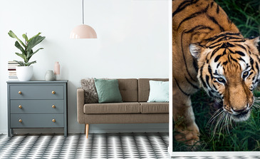 Visualisatie van het product