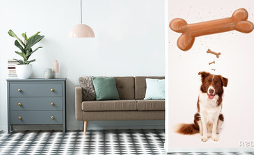 Visualisatie van het product