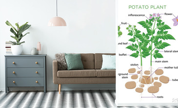 Visualisatie van het product