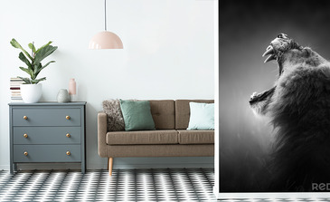 Visualisatie van het product