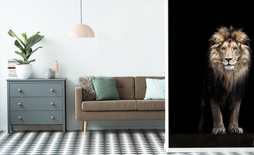 Visualisatie van het product