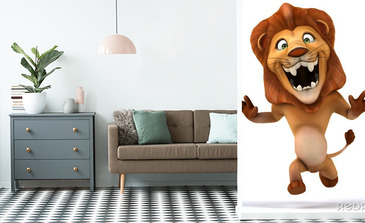 Visualisatie van het product