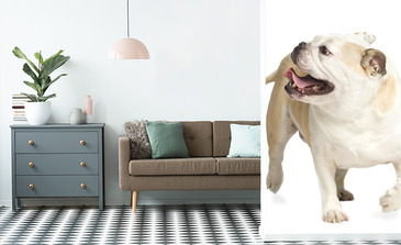 Visualisatie van het product