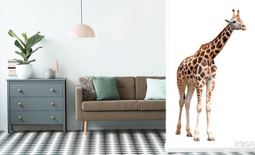 Visualisatie van het product