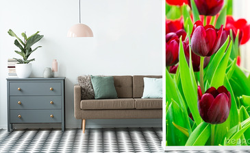 Visualisatie van het product