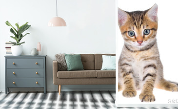 Visualisatie van het product