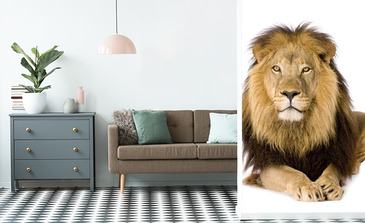 Visualisatie van het product