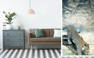 Visualisatie van het product