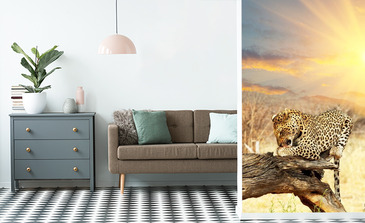 Visualisatie van het product