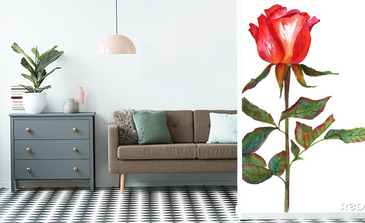 Visualisatie van het product