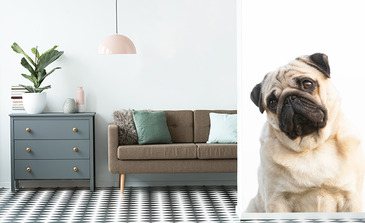 Visualisatie van het product