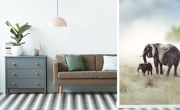 Visualisatie van het product