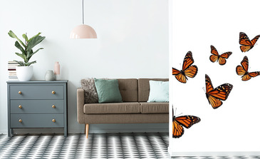 Visualisatie van het product