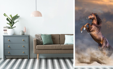 Visualisatie van het product