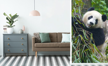 Visualisatie van het product