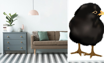 Visualisatie van het product