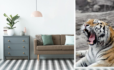 Visualisatie van het product