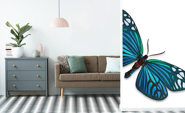 Visualisatie van het product