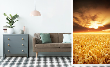 Visualisatie van het product